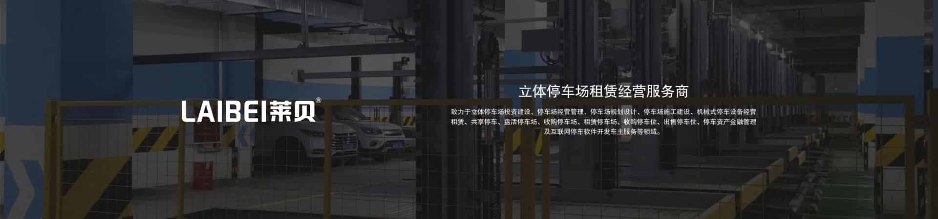 俯仰停车库安装